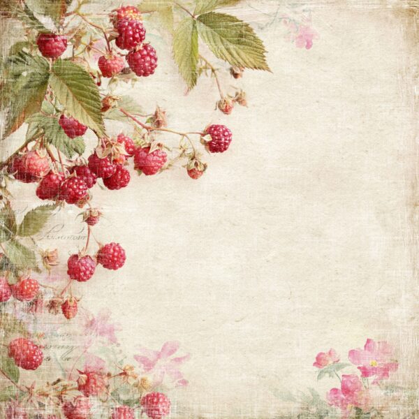 Reprint Summer Garden Collection - Raspberries RP0752