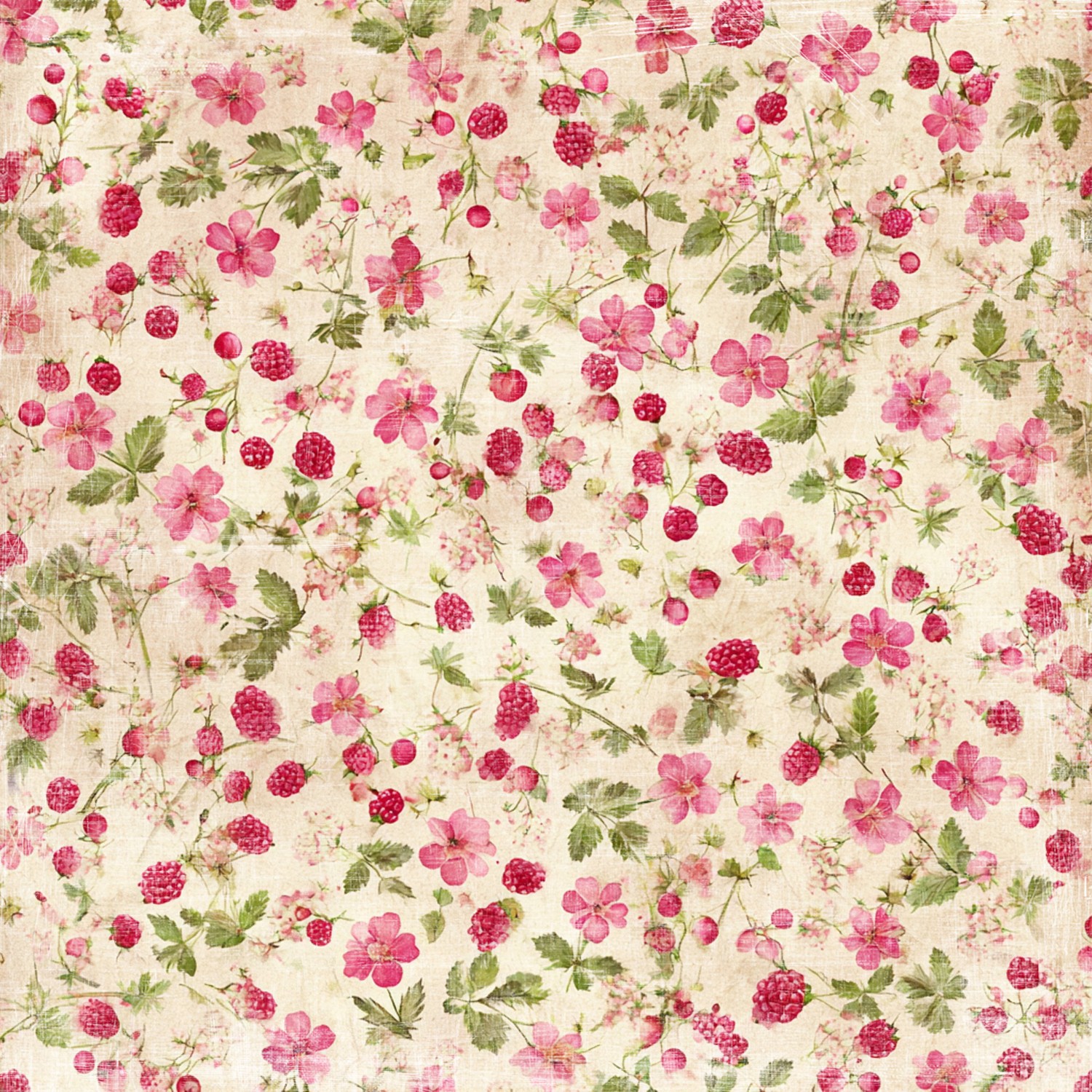 Reprint Summer Garden Collection - 8x8 - Bilde 6