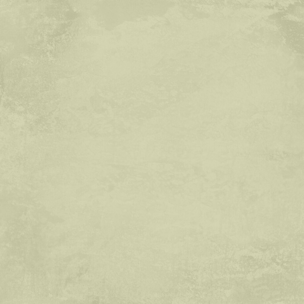 Reprint Summer Meadow Monochromes 12X12