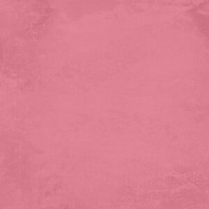 Reprint Summer Garden Monochromes 12X12 - Bilde 6