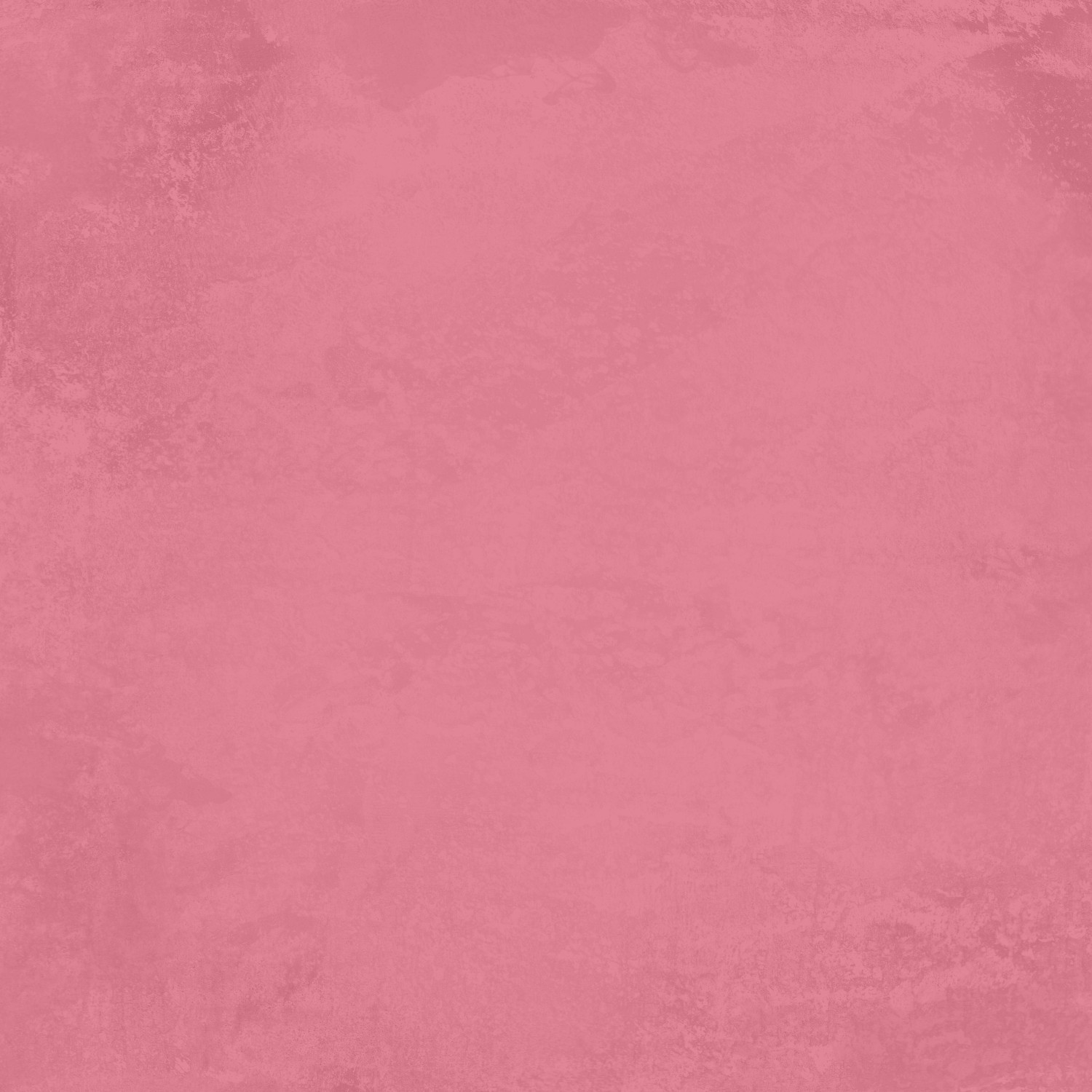 Reprint Summer Garden Monochromes 12X12 - Bilde 6