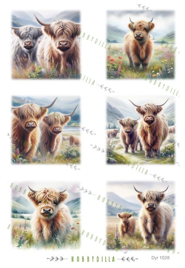 Motivark Dyr 1028 M Highland Cows