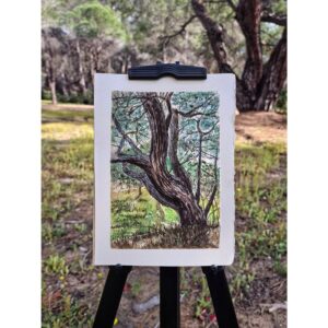 Van Gogh Akvarell Pocketbox Sett – Shades of Nature - Bilde 7