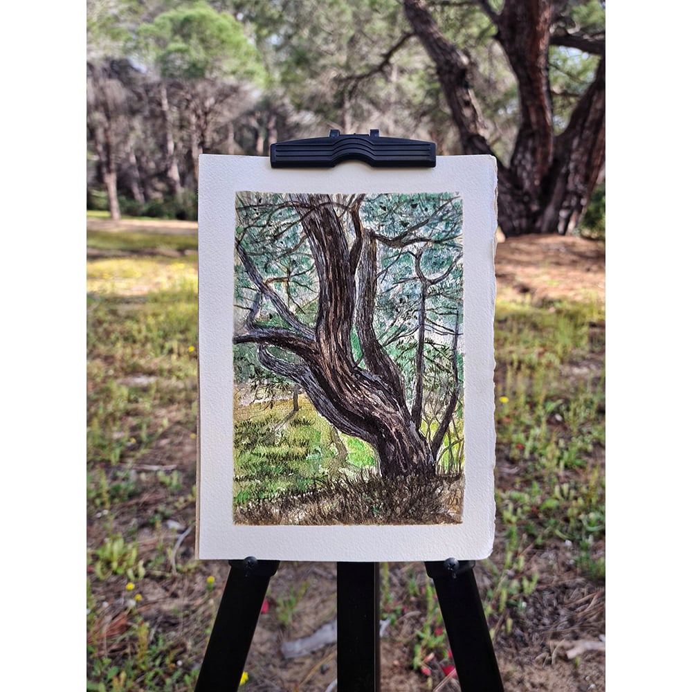 Van Gogh Akvarell Pocketbox Sett – Shades of Nature - Bilde 7