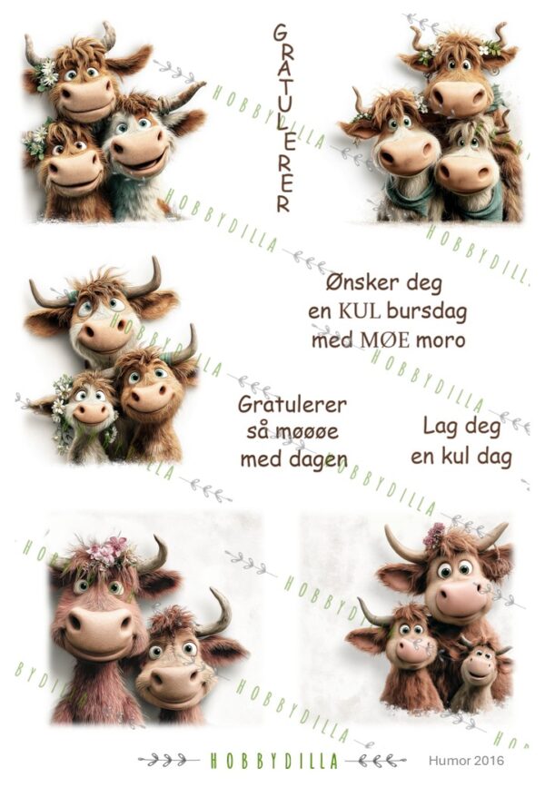 Motivark Humor 2016 M Kule Kuer med tekst