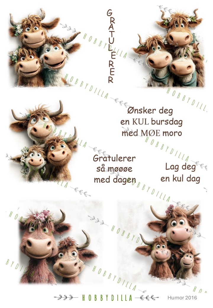 Motivark Humor 2016 M Kule Kuer med tekst - Bilde 1
