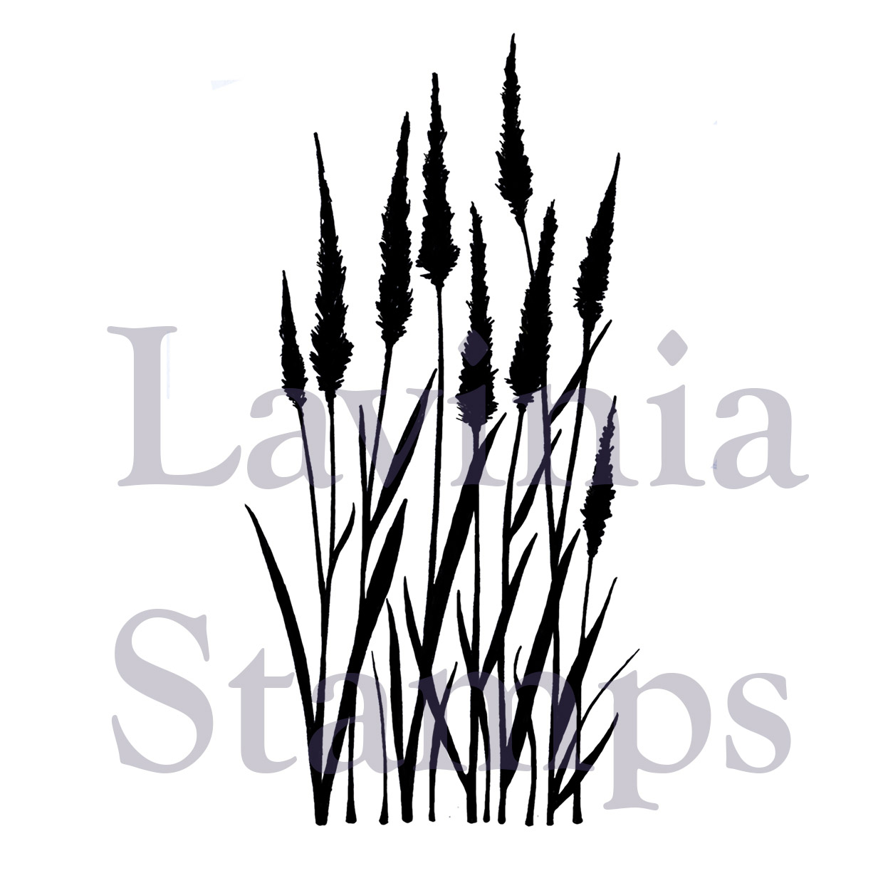 Lavinia Meadow Grass LAV387 - Bilde 1
