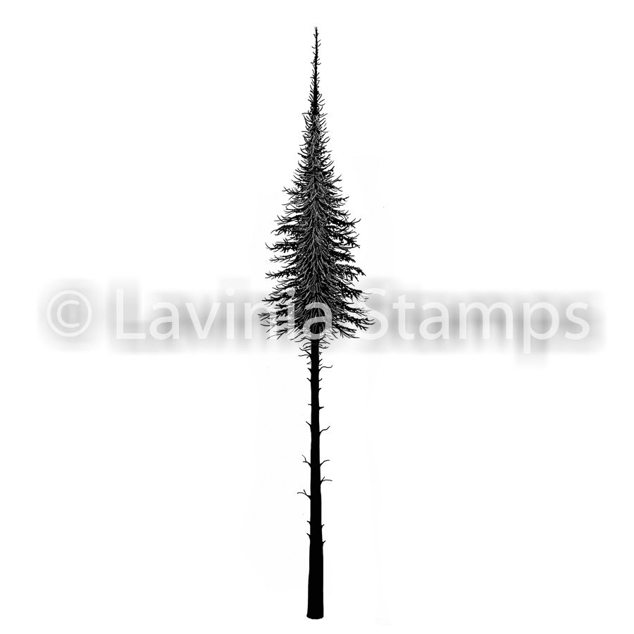Lavinia Fairy Fir Tree LAV478 - Bilde 1