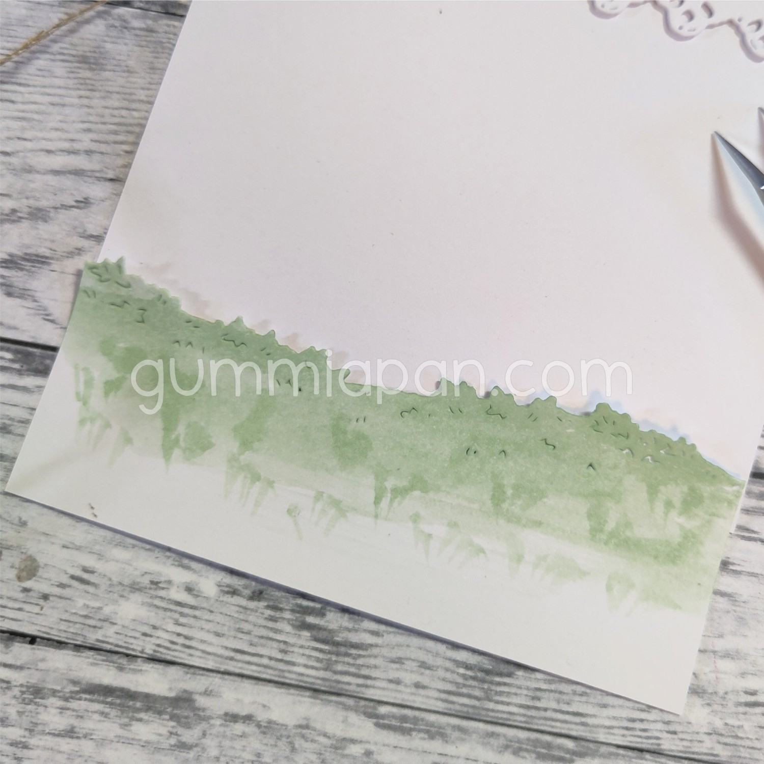 Gummiapan Dies Gresskant - Bilde 2