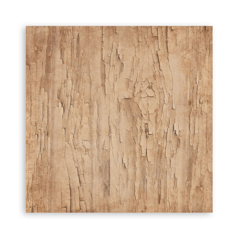 Stamperia Family - 12x12 Blokk - Bilde 24