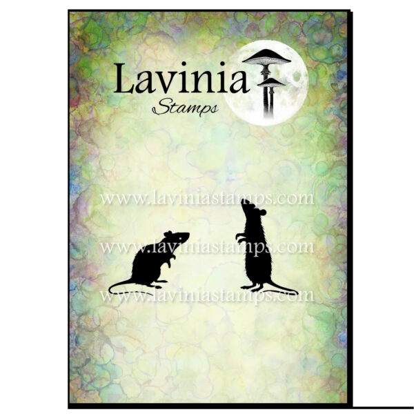Lavinia Ragwort and Strawson LAV1077